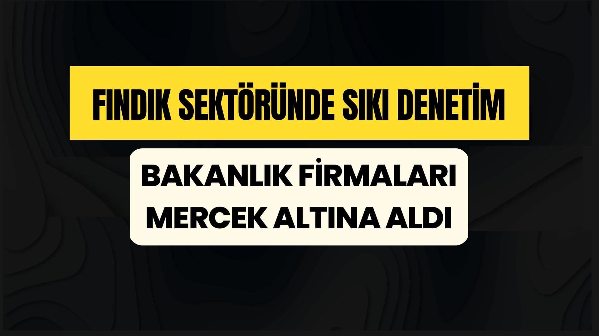Ticaret Bakanlığı, Fındık Firmalarına Denetim Başlattı