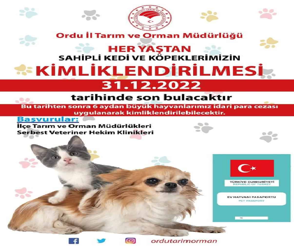 HAYVANSEVERLERİN DİKKATİNE