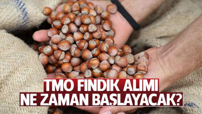 TMO NE ZAMAN FINDIK ALACAK ?