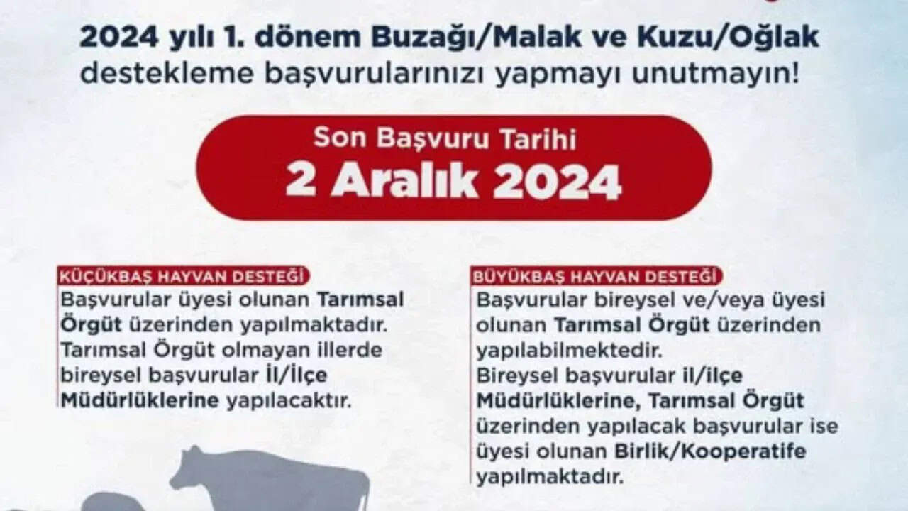 Ordu İl Tarım Müdürlüğü’nden Üreticilere Destekleme Başvurusu Uyarısı