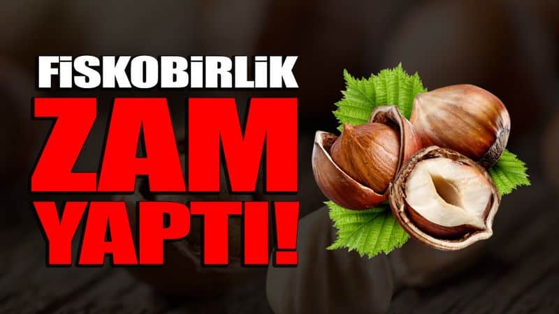 Fiskobirlik yeni fındık fiyatını açıkladı