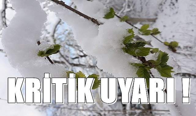 Ürünlerinizi Sigorta Yaptırmayı Unutmayın