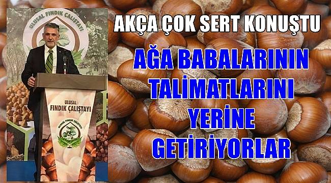 İtalya ve İspanya'da Fındık Zarar Gördü