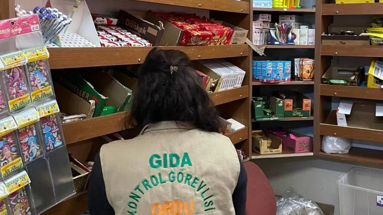 Gıda İşletmelerine Sıkı Denetimler Sürüyor